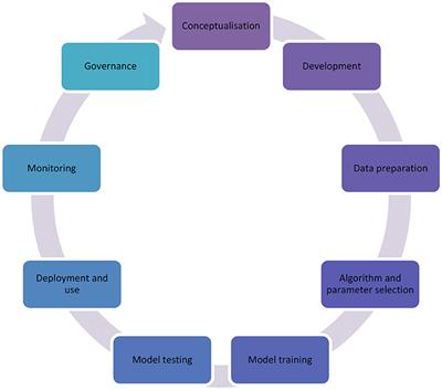 Local transplantation, adaptation, and creation of AI models for public health policy